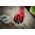 Milwaukee Work gloves (winter) Milwaukee (XXL/11 size) 12 pairs level 1A