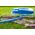 Vartco Garden hose 3/4" 50m 6-ply HOPPY TFS Vartco HOPPY TFS 1006340050