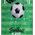 Splendid CARPET PRINTED BALL 1.2X1.6M