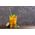 G21 Ecological straws G21 BeEco Classic 6 pcs. 6352100