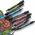 Winsor & Newton Winsor & Newton 0203172, Peach, Multicolour, Blush, Fine/Medium, Chisel/Bullet tip, Round