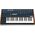 Behringer Behringer MONOPOLY Syntezator analogowy