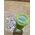 Emsa EMSA Clip&Go Smoothie Mug 0,45 L