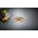 Victorinox Victorinox Swiss Classic Schinkenmesser