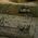 Vallejo Vallejo: 73.808 - Weathering FX - Thick Mud - Russian (40 ml)