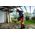 Sourcing Cordless chainsaw FLEX GCS 35 2x18-EC