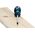 Bosch Screwdriver TX 15x75 mm Bosch 1600A01V0B