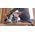 Bosch BOSCH.GKS SAW 18V-70 L SOLO 190mm EC LB