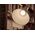 Osram LED CLA40 2.5W/830 230V GLFR UE E27OSRAM