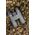 Lornetka Focus Optics Focus Outdoor II 10x42