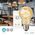 Nedis Nedis SmartLife lampa LED Zimne białe, Ciepłe białe 4,9 W E27 G