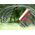 Dirt Devil ŚCIĄGACZKA WODY Z SZYB I LUSTER Z RĄCZKĄ REGULOWANA 55-95CM DIRT DEVIL