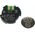 Bosch Professional Battery adapter BOSCH Professional GCY 42 CONNECTIVITY MODULE, technology "Bluetooth Low