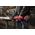 Szlifierka Milwaukee MILWAUKEE.STRAIGHT GRINDER M18FDGROVPDB-0X