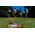 Waboba Waboba BACKNINE, Flying disc, 8 yr(s)