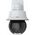 Kamera IP Axis NET Q6318-LE DOME 50HZ/02446-002 AXIS