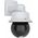 Kamera IP Axis NET Q6318-LE DOME 50HZ/02446-002 AXIS