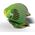 Teka Papuga Kakapo Eugy. Eko Układanka 3D