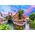 Ravensburger Puzzle 1000 Esslingen am Necker, Niemcy