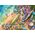 Schmidt Spiele Puzzle PQ 1000 Skarby z plaży G3