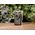 Aparat cyfrowy Canon Canon Powershot V10 Vlogging Kit, silver