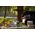 Enders CAMPINGCOOKER CANBERRA 2-FLAME