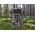 Noktowizor Braun Phototechnik Braun Scouting Cam Black400 WiFi 4K