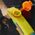Hasbro Hasbro Nerf Super Soaker Wave Spray, water gun