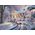 Schmidt Spiele Puzzle PQ 1000 THOMAS KINKADE Graceland zim± G3