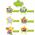 CoComelon CoComelon Color Learning Sheep