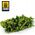 Vallejo Ammo: Shrubs - Goldfinger