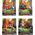 Transformers TRANSFORMERS The Rise of the Beasts Playset Weaponizers