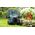 Kosiarka akumulatorowa Bosch Cordless lawnmower Bosch 06008B9E00 UniversalRotak 2x18V-37
