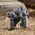 Figurka Transformers TOY TRANSFORMER ROBOT-WEAPON 7.5CM