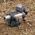 Figurka Transformers TOY TRANSFORMER ROBOT-WEAPON 7.5CM