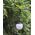 Oprawa schodowa Saska Garden LAMPA SOLARNA PLASTIKOWA KULA WISZĄCA 20CM