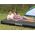 Bestway Pripučiamas čiūžinys Bestway Tritech Air, 203x152x25 cm
