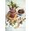 Jata WECK Sturzglas 370ml 6er Pack