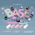 Activeshop Claresa Baza Power Base 14 -5g