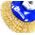 Richmann Copper wire brush M14, 100 mm