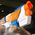 Nerf NERF N Series Blaster Strikeback