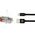 Kabel USB Swissten Swissten 71521101 kabel USB 0,2 m USB A USB C Czarny