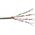 Digitus Kabel instalacyjny DIGITUS kat.5e, U/UTP, Eca, AWG24/1, PVC, 500m, szary, szpula