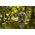 Kamera cyfrowa Genway Camouflage trail camera EZ2 Elite