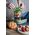 Jata WECK Round Rim Jar Tulip 0,5l Set of 4