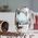 Bodum Bodum COLUMBIA Coffee Maker 8 cup
