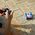 Exost EXOST Radio control car Mini Flip Neo, scale 1:34