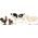 Figurka Schleich Schleich Farm World "Farm" Starter Set, Toy Figure