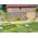 NOCH Grass Tufts XL, Brown, Green, 84 pc(s)