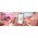 Lampa sufitowa Signify WiZ LightBar Tischleuchte Tunable White&Color 800lm 2erPack